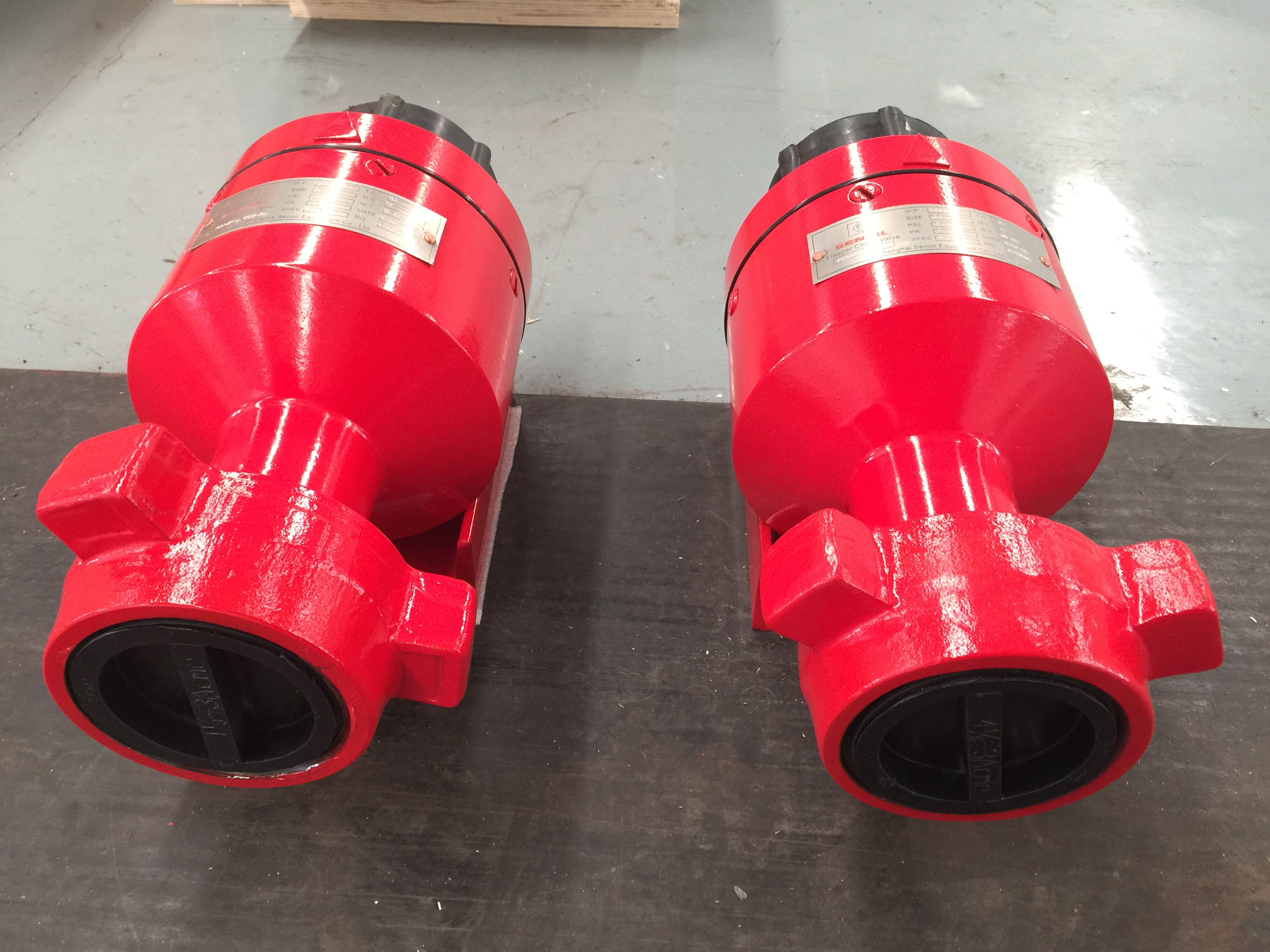 reverse check valve